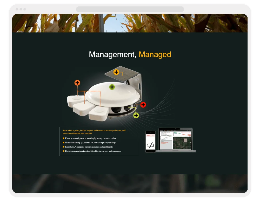 UX/UI Design